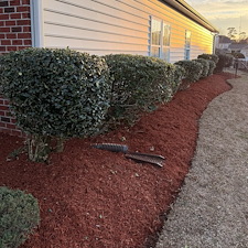 Mulch-Installation-in-Conway-SC 3
